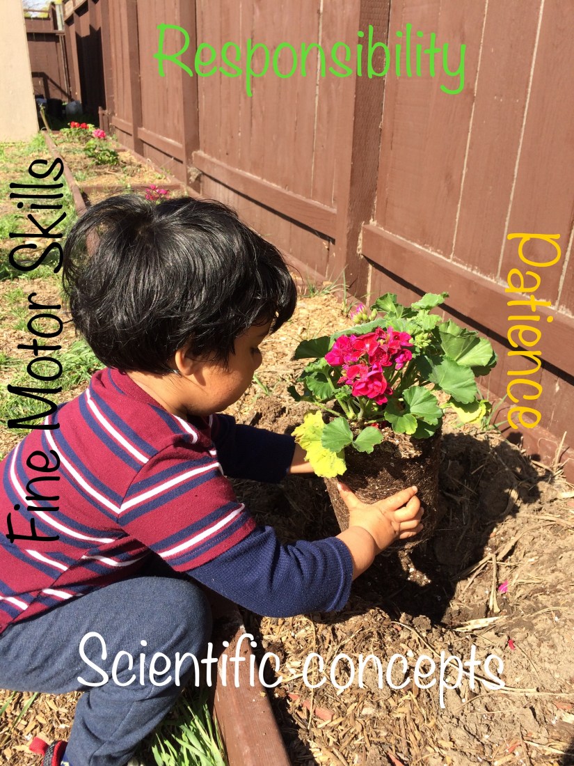 gardening
